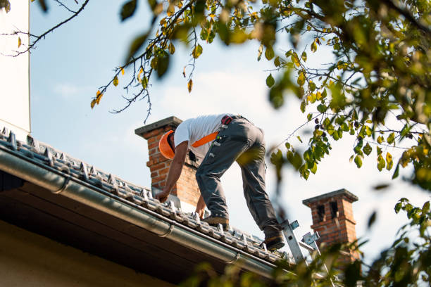Best Commercial Roofing Services  in Sheridan, WY