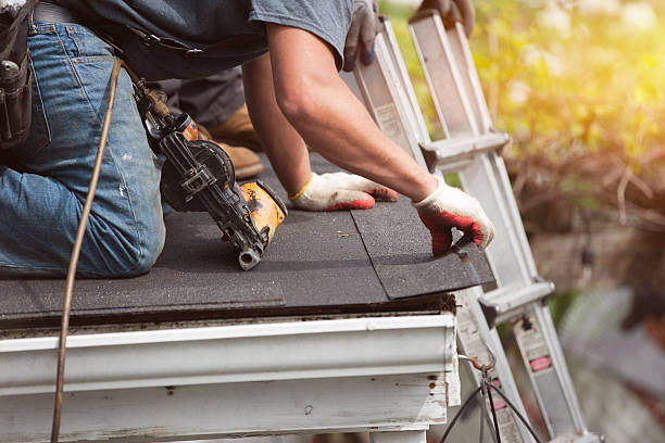 Best Roof Maintenance Services  in Sheridan, WY