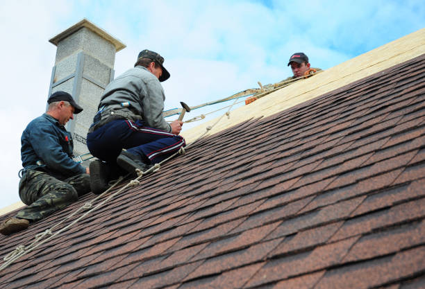 Best Roof Gutter Cleaning  in Sheridan, WY